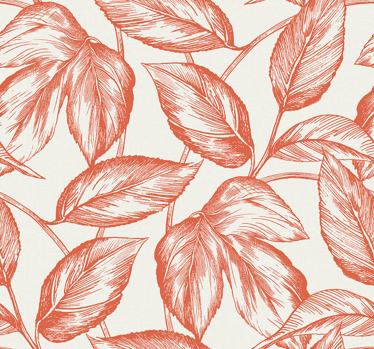 Seabrook Designs Beckett Sketched Leaves Rich Coral Wallpaper Sample SC20001