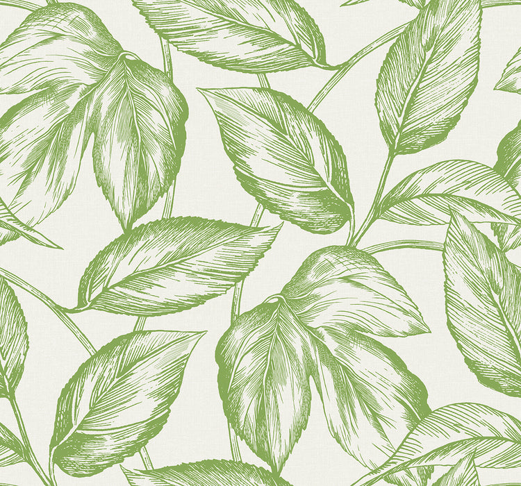 Seabrook Designs Beckett Sketched Leaves Apple Green Wallpaper Sample SC20004