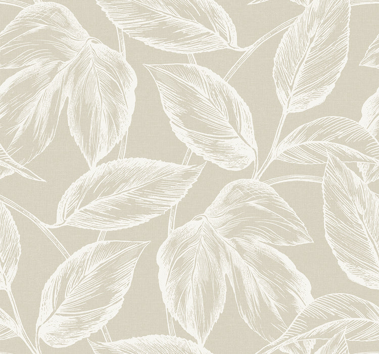 Seabrook Designs Beckett Sketched Leaves Oat Wallpaper Sample SC20005
