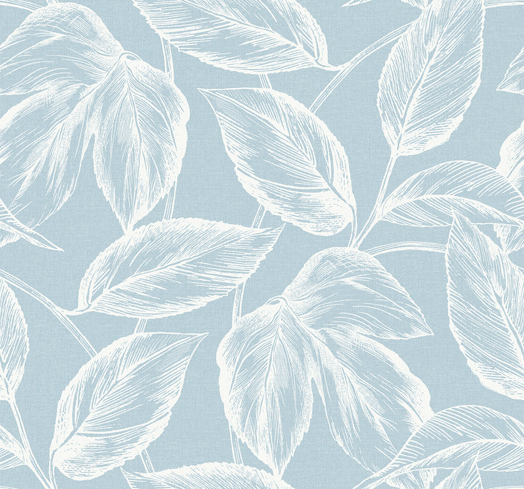 Seabrook Designs Beckett Sketched Leaves Baby Blue Wallpaper Sample SC20022