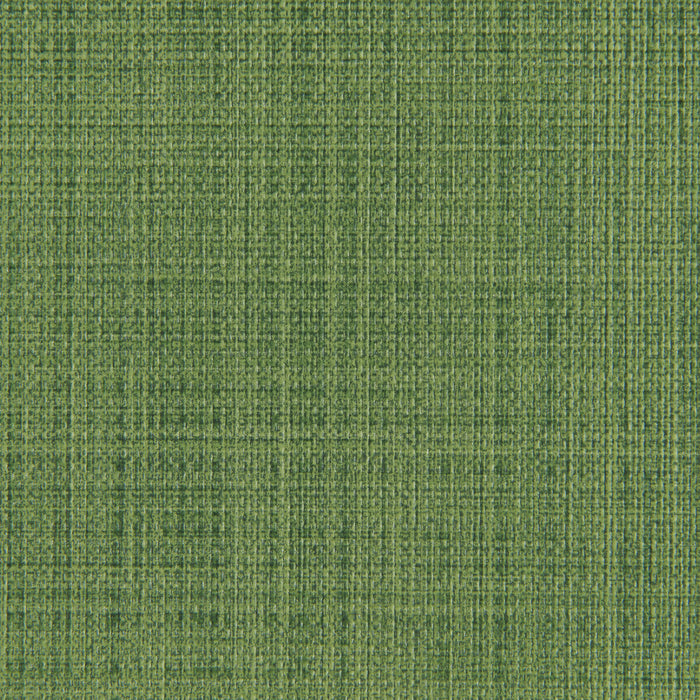 Kravet Contract Scrimshaw Cactus Fabric SCRIMSHAW.3.0