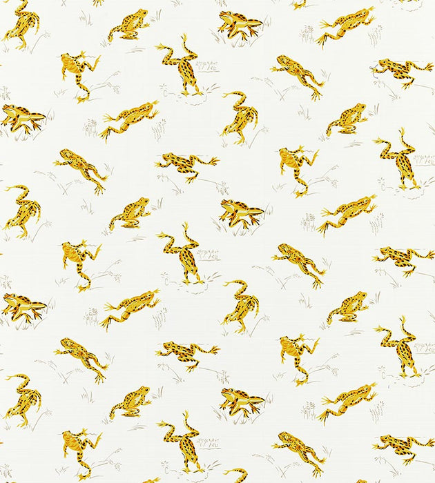 Scalamandre Calabasas County - Outdoor Pineapple Fabric SC16426M0001