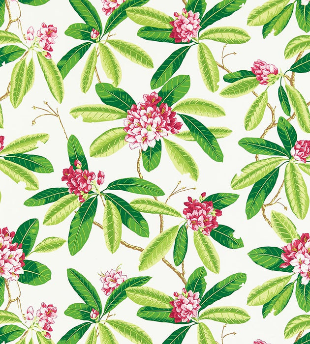 Scalamandre Rhododendron - Outdoor Fuschia Fabric Sample SC16454M0001
