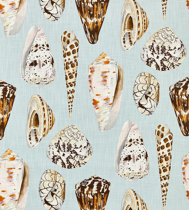 Scalamandre Coquina - Outdoor Multi On Sea Blue Fabric SC166390001