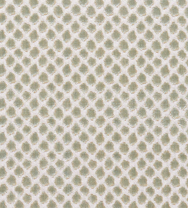 Scalamandre Etosha Velvet Mineral Fabric SC270220001