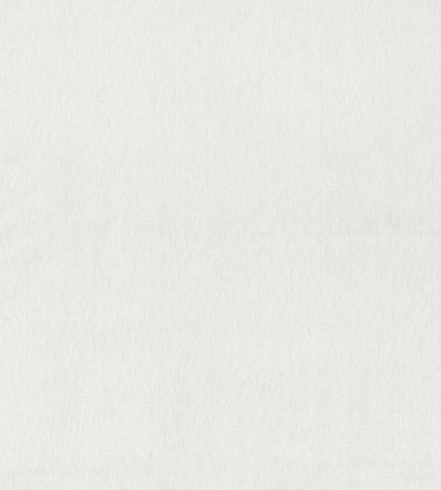 Scalamandre Bay Velvet Oyster Fabric SC271930001