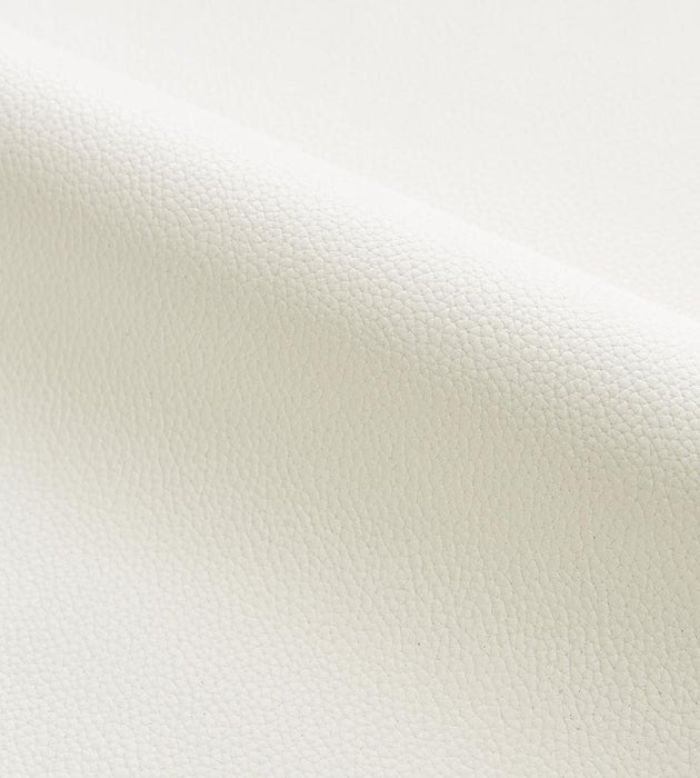 Scalamandre Lucille - Outdoor Cotton Fabric SC272580001