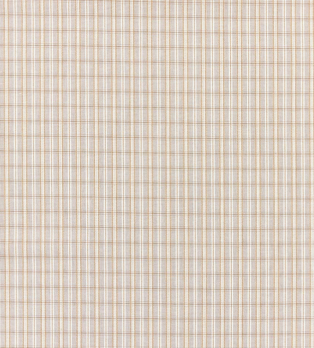 Scalamandre Check Please - Outdoor Birch Fabric Sample SC273180001