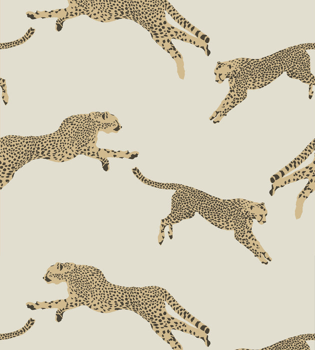 Scalamandre Leaping Cheetah - Removable Dune Wallcovering Sample SCWP88449PS0001