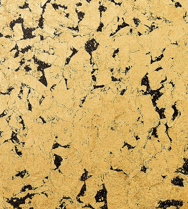 Scalamandre Obsidian Black Wallpaper SCWP885210001