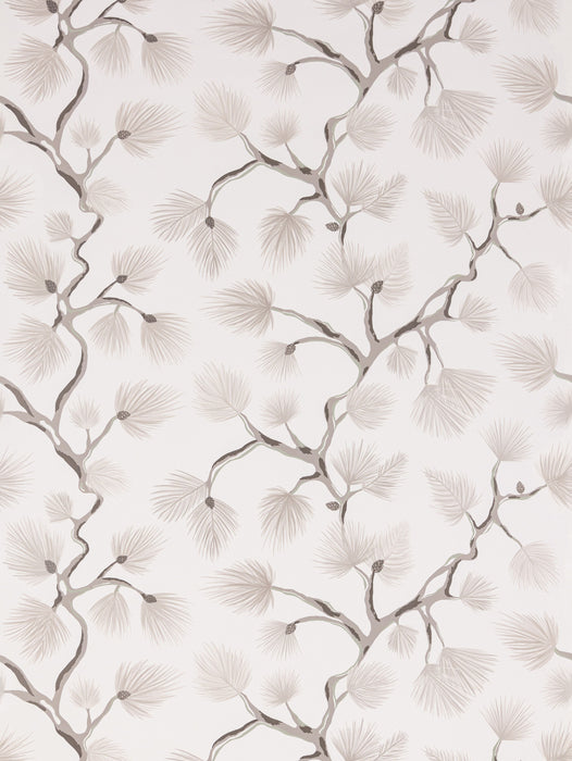 Scalamandre Pignoli Snow Wallpaper SCWP88593D0001