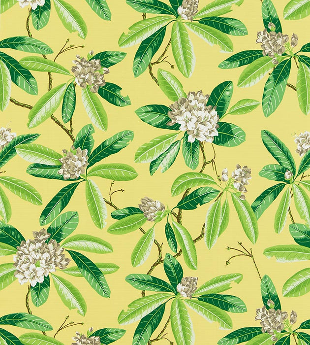 Scalamandre Rhododendron - Outdoor Pineapple Fabric SC16454M0002
