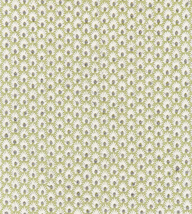 Scalamandre Fleur Embroidery Celery Fabric SC271230002