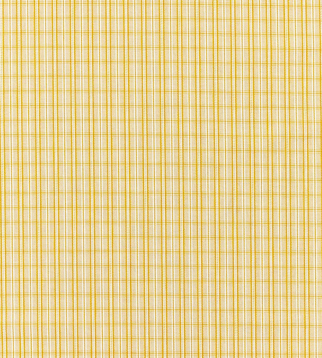 Scalamandre Check Please - Outdoor Goldenrod Fabric Sample SC273180002