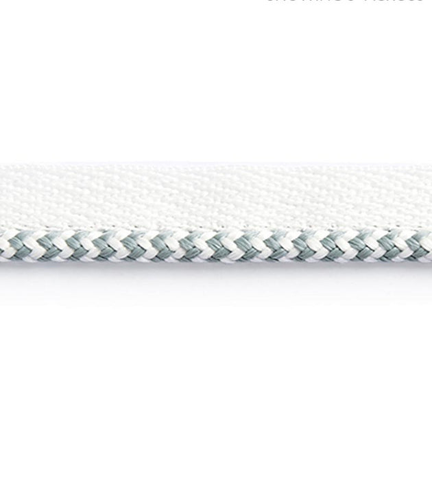 Scalamandre Zig Zag Cord Sky Trim Sample SCC3130002