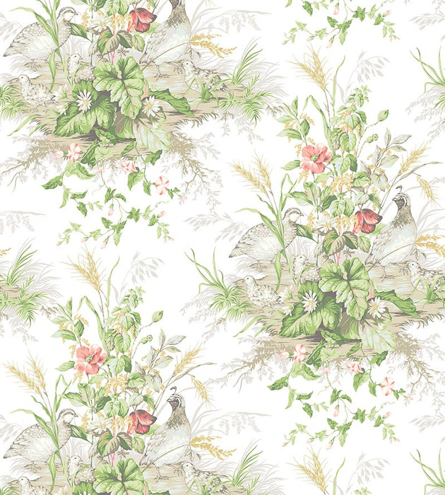 Scalamandre Edwin'S Covey Prairie Wallpaper Sample SCWP884340002