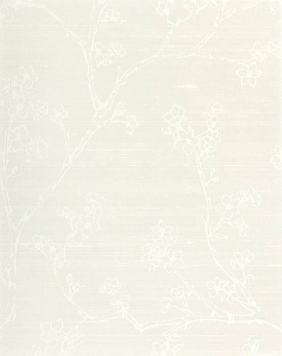 Scalamandre Khilana Coconut Wallpaper SCWP885780002