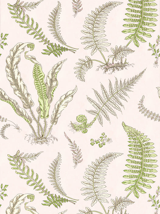 Scalamandre Elsie De Wolfe Ballet Slipper Wallpaper Sample SCWP88592D0002