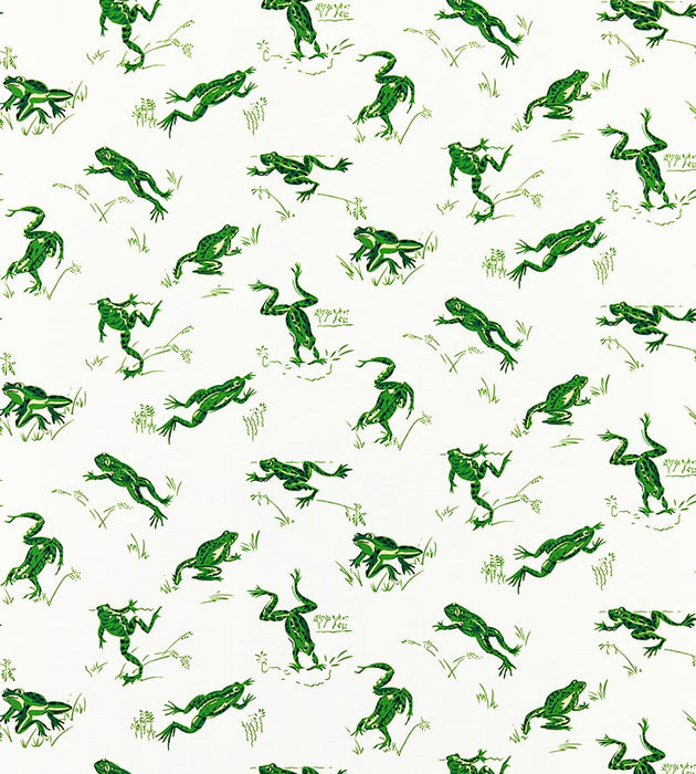 Scalamandre Calabasas County - Outdoor Snap Pea Fabric Sample SC16426M0003