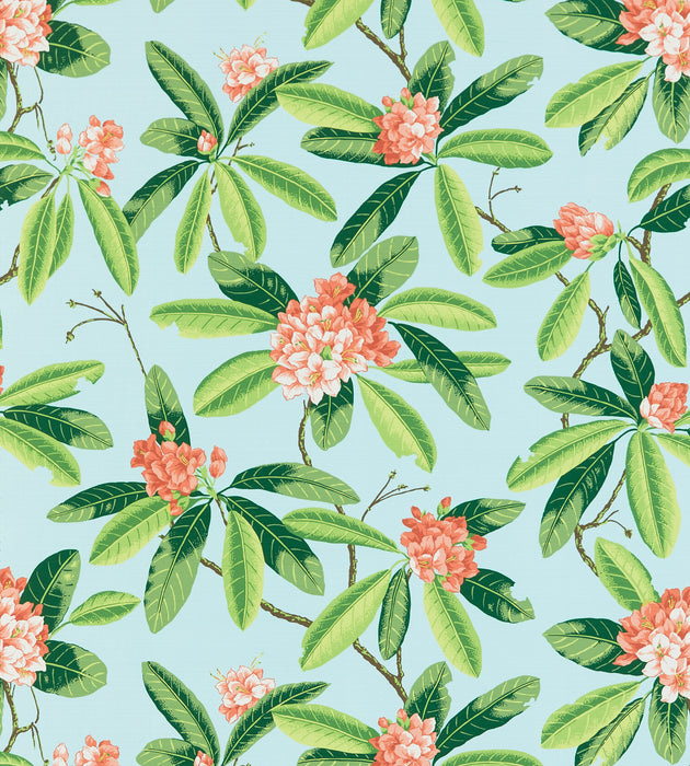 Scalamandre Rhododendron - Outdoor Coral On Aqua Fabric Sample SC16454M0003