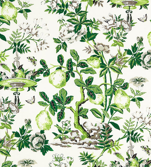 Scalamandre Shantung Garden Cotton Print Verdance Fabric SC165830003