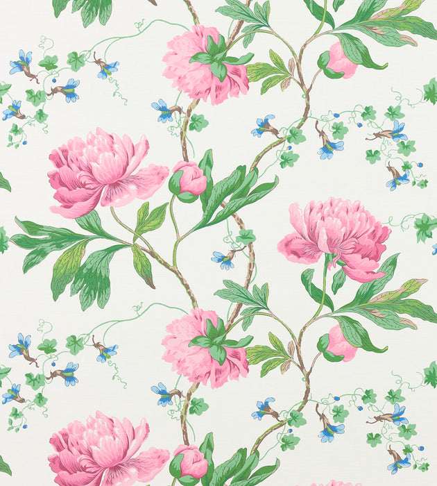 Scalamandre Isadora Print Petal Fabric Sample SC166500003