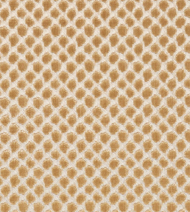 Scalamandre Etosha Velvet Palomino Fabric SC270220003
