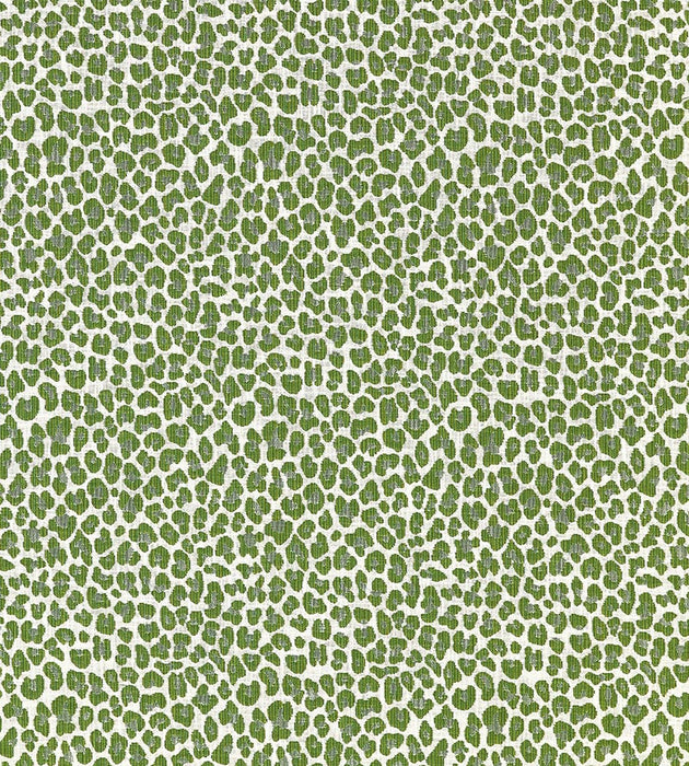 Scalamandre Backyard Bengal Ivy Fabric SC273160003