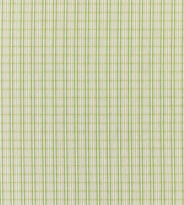Scalamandre Check Please - Outdoor Fern Fabric Sample SC273180003