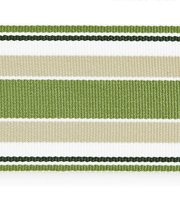 Scalamandre Marina Stripe Tape Palm Trim Sample SCT33110003