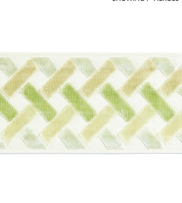 Scalamandre Parquet Velvet Tape Meadow Trim Sample SCT33260003
