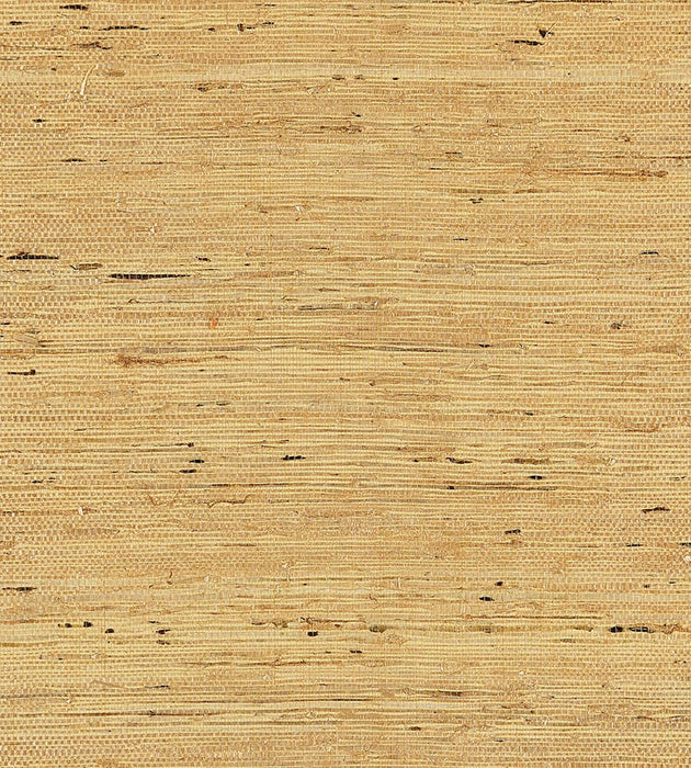Scalamandre Arrowroot Weave Honey Wallpaper SCWP883440003