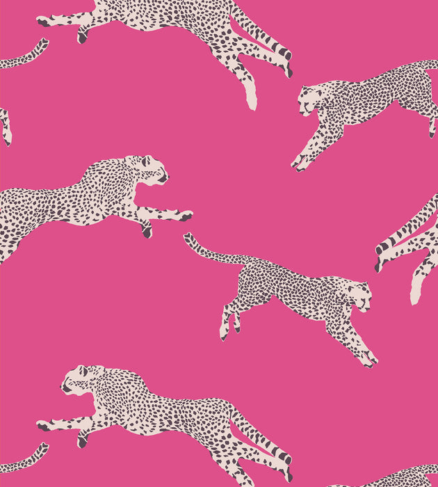 Scalamandre Leaping Cheetah - Removable Bubblegum Wallcovering Sample SCWP88449PS0003