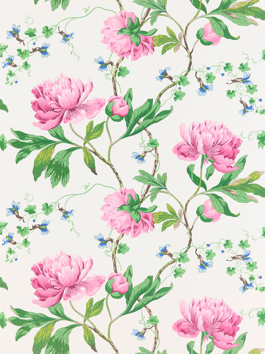 Scalamandre Isadora Petal Wallpaper SCWP885620003