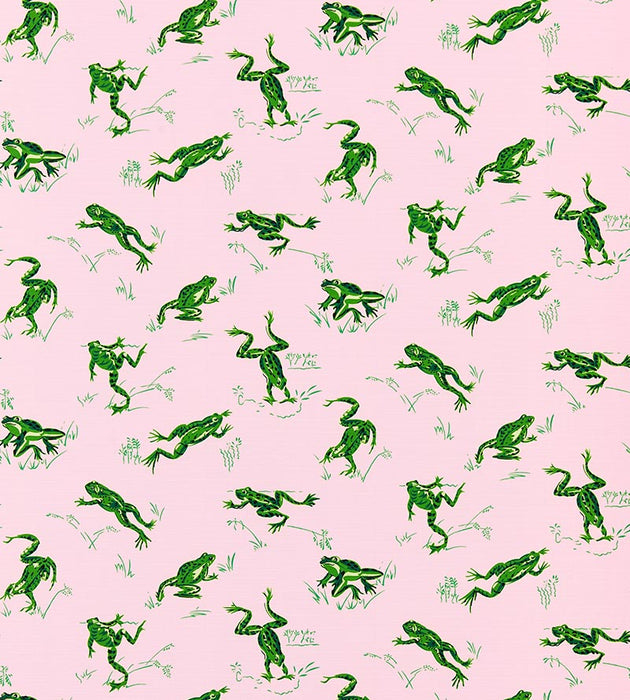 Scalamandre Calabasas County - Outdoor Camelia Fabric Sample SC16426M0004