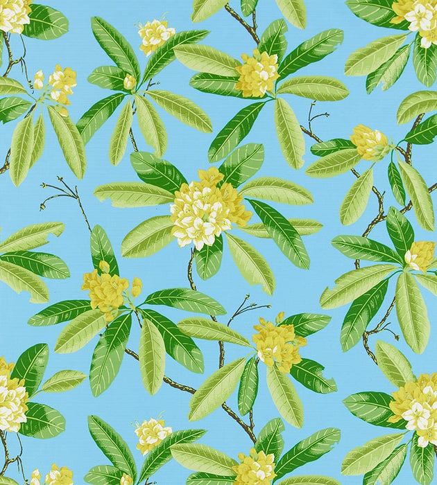Scalamandre Rhododendron - Outdoor Carolina Fabric Sample SC16454M0004
