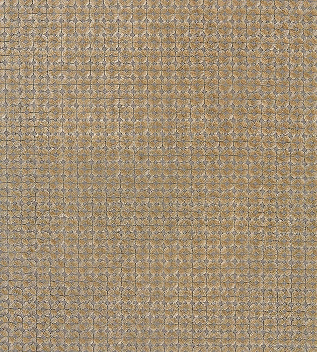 Scalamandre Floret Embroidery Smoky Quartz Fabric SC271330004