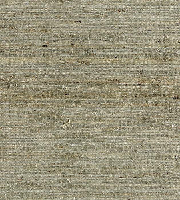 Scalamandre Arrowroot Weave Water Wallpaper SCWP883440004