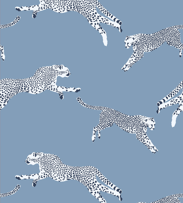 Scalamandre Leaping Cheetah - Removable Cloud Nine Wallcovering Sample SCWP88449PS0004
