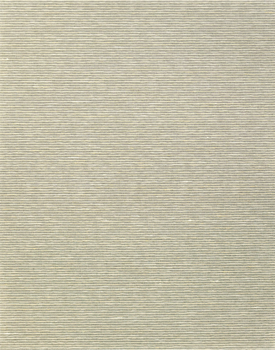 Scalamandre Aditi Plain Rhino Wallpaper Sample SCWP885800004