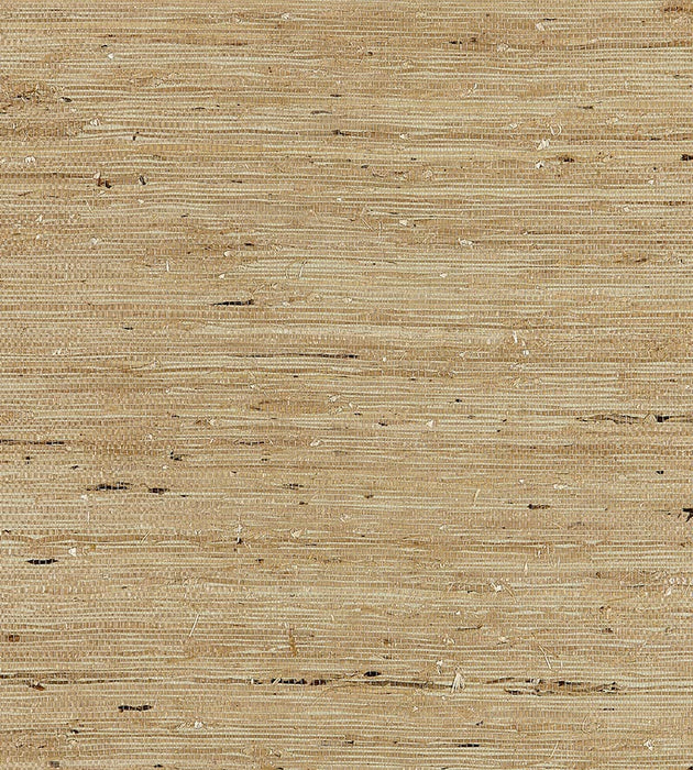 Scalamandre Arrowroot Weave Sage Wallpaper Sample SCWP883440005