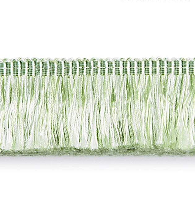 Scalamandre Gripsholm Brush Fringe Pistachio Trim SCFC14970006