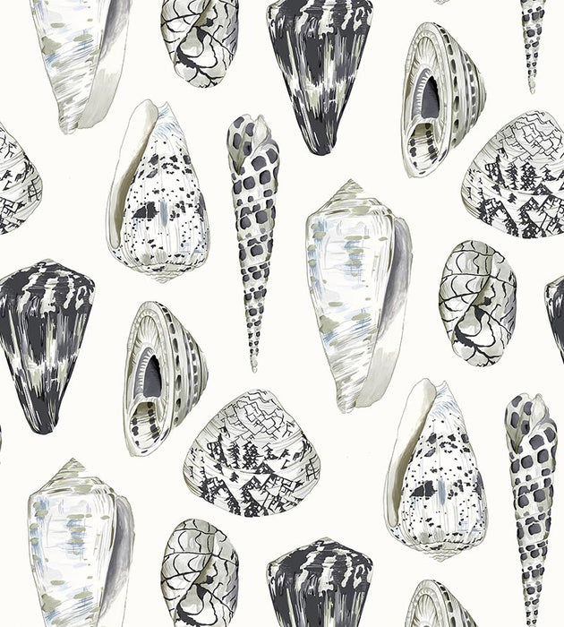 Scalamandre Coquina Graphite Wallpaper SCWP883650006