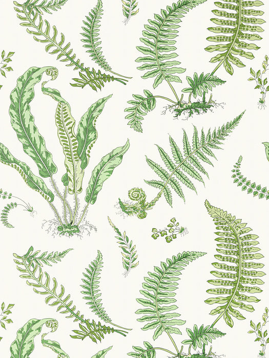 Scalamandre Elsie De Wolfe Fern Wallpaper SCWP88592D0006