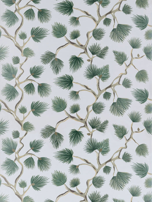 Scalamandre Pignoli Evergreen Wallpaper SCWP88593D0006