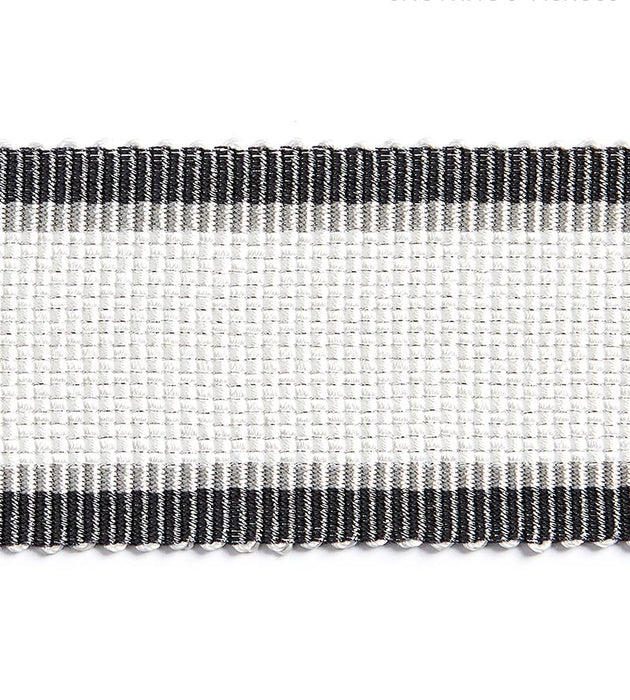Scalamandre Odeon Shimmer Braid Mercury Trim Sample SCV12490007