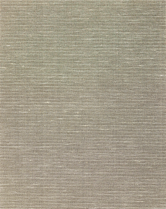 Scalamandre Aditi Plain Boulder Wallpaper Sample SCWP885800007