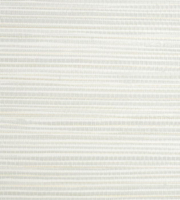 Scalamandre Seagrass Oyster Wallpaper Sample SCWP884400008