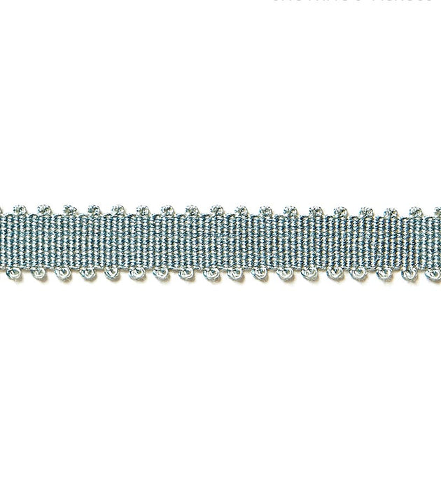 Scalamandre Lancaster Gimp Aqua Trim SCV6580012