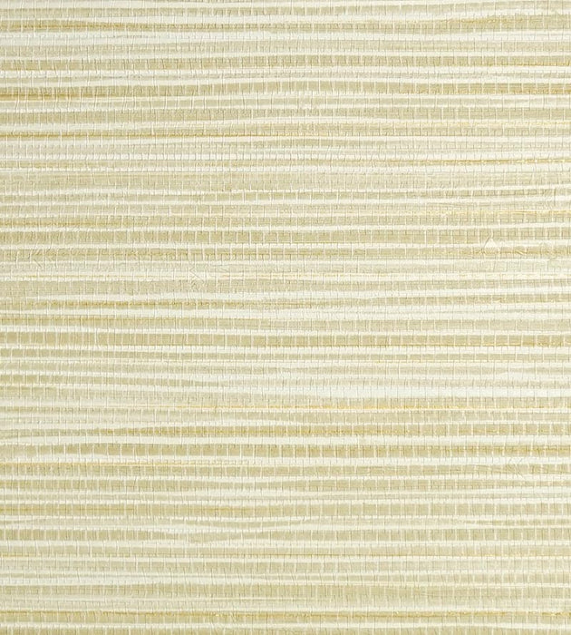 Scalamandre Seagrass Straw Wallpaper Sample SCWP884400015